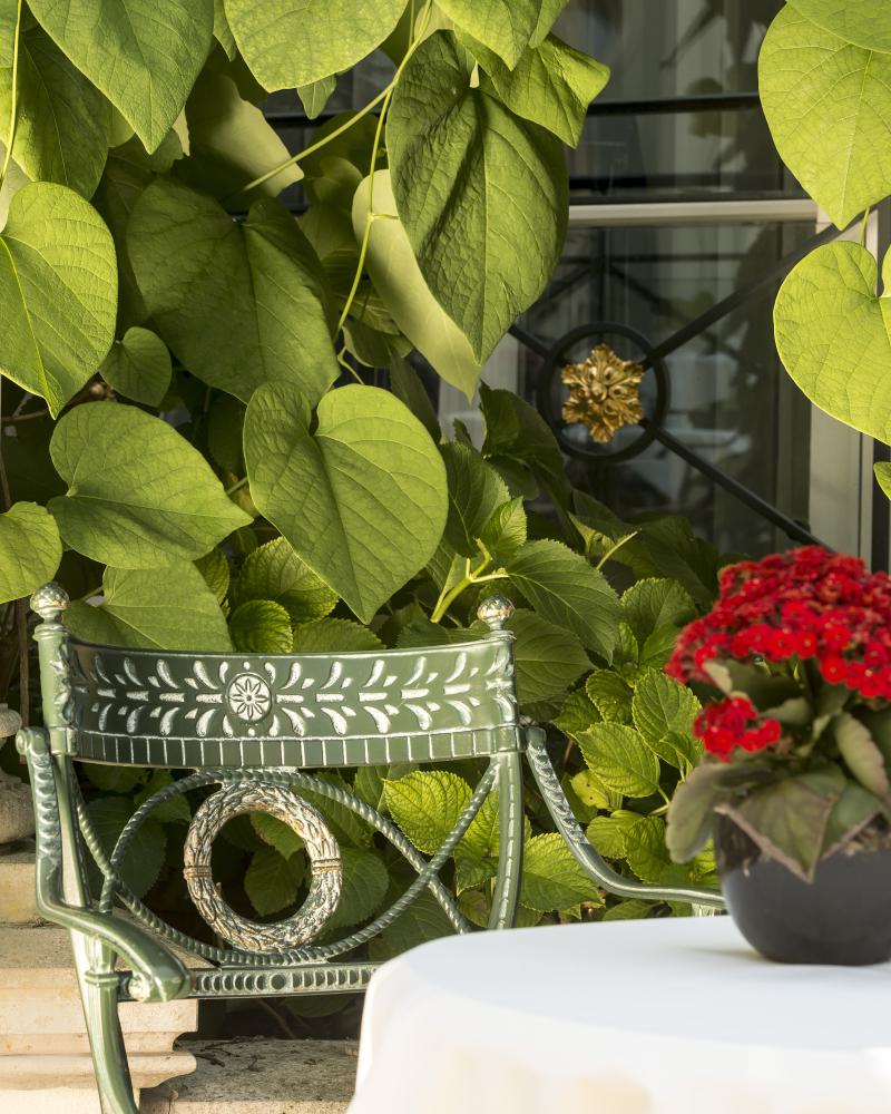 Gartenterrasse Blumen